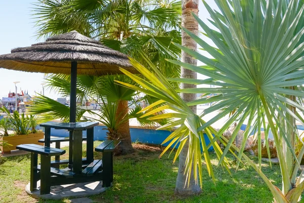 Interior de la cafetería — Foto de Stock