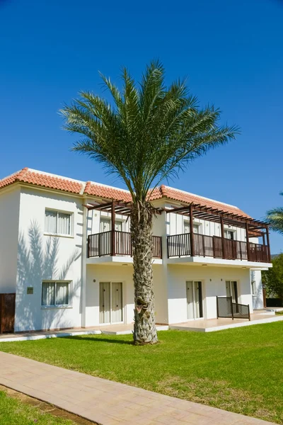 Building green palm plant — Stock Photo, Image