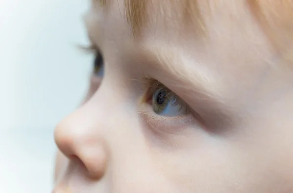 Portrait of a boy — Stock Photo, Image