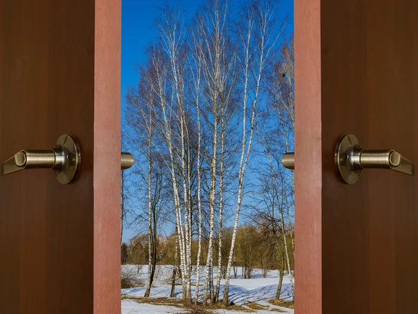 Prärielandschaft und Himmel — Stockfoto