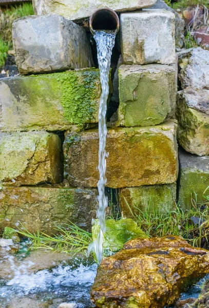 Primavera — Fotografia de Stock