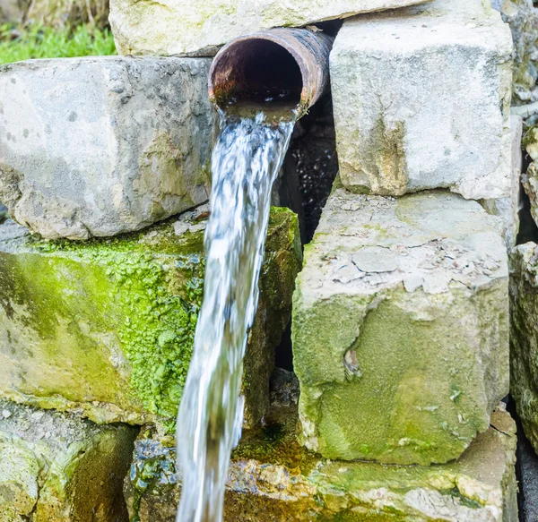 Frühling — Stockfoto