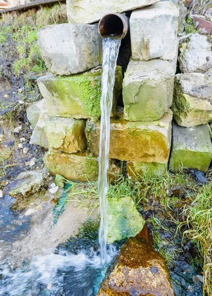 Primavera — Fotografia de Stock