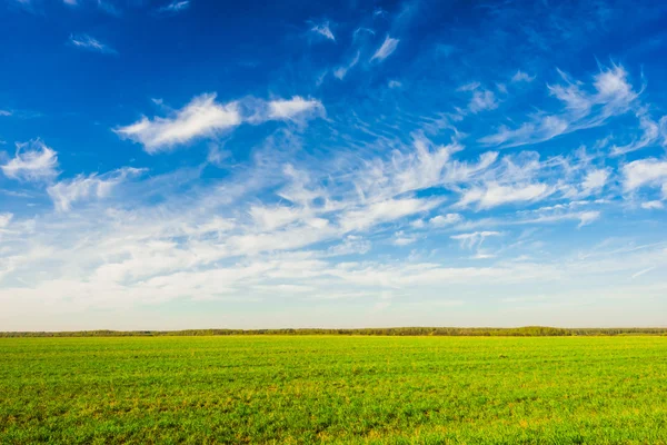 Prateria paesaggio e cielo — Foto Stock