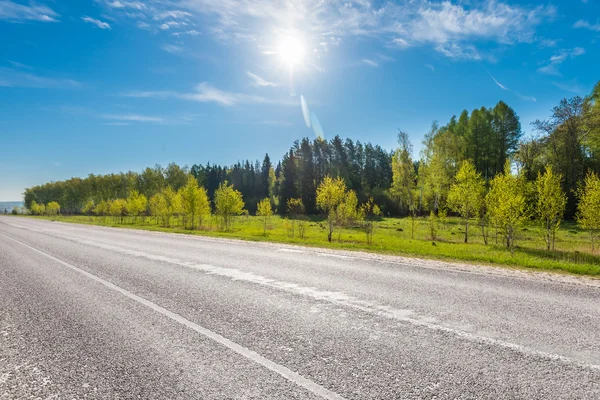 Road and the meadows — Stock Photo, Image