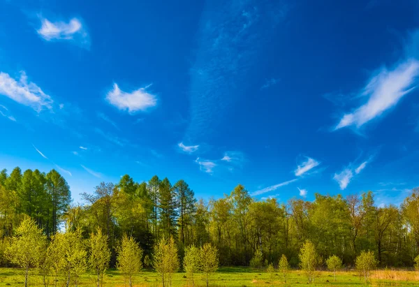 草原の風景と空 — ストック写真