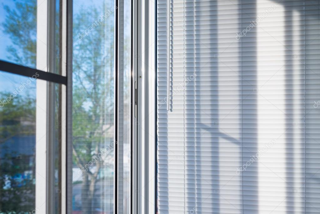 window blinds