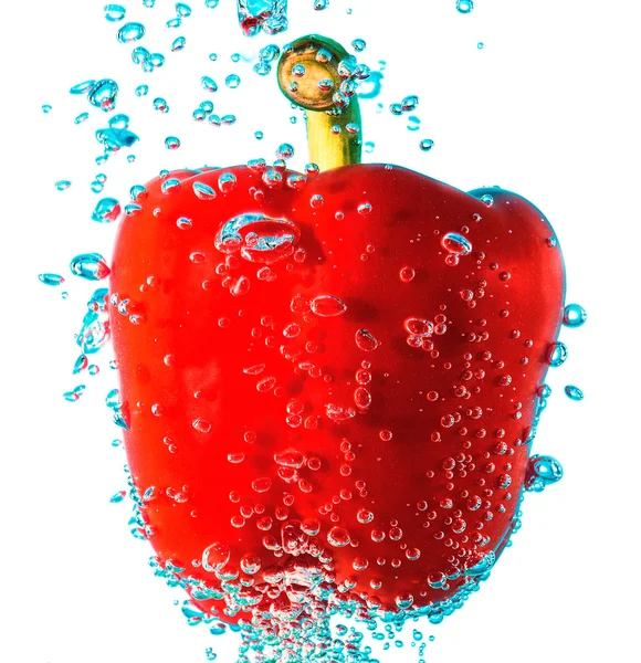 Paprika in Wasser — Stockfoto