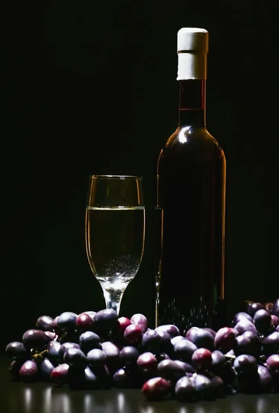 어두운 배경에 놓인 와인 한 잔 — 스톡 사진