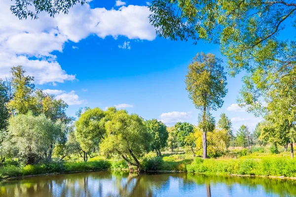 Víztest a parkban a benőtt sár — Stock Fotó