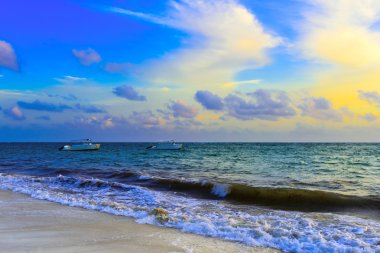 Palm okyanus gökyüzü