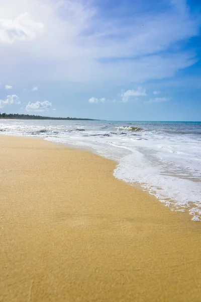 Playa de arena mar —  Fotos de Stock