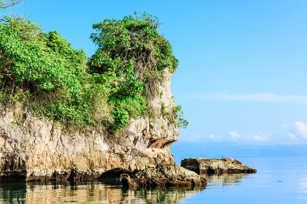 Floating island wild — Stock Photo, Image