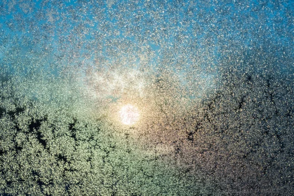 Copo de nieve sobre vidrio — Foto de Stock