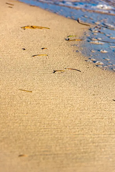 Praia do mar arenoso — Fotografia de Stock