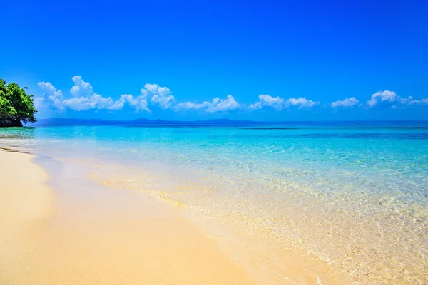 Tropická pláž Paradise — Stock fotografie