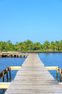 ahşap köprü içine deniz juts