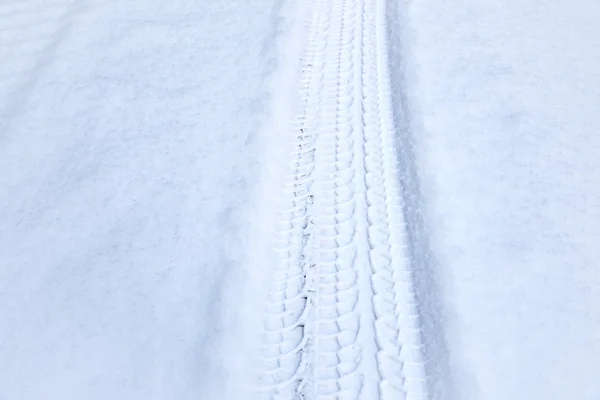 プロテクター雪冬 — ストック写真