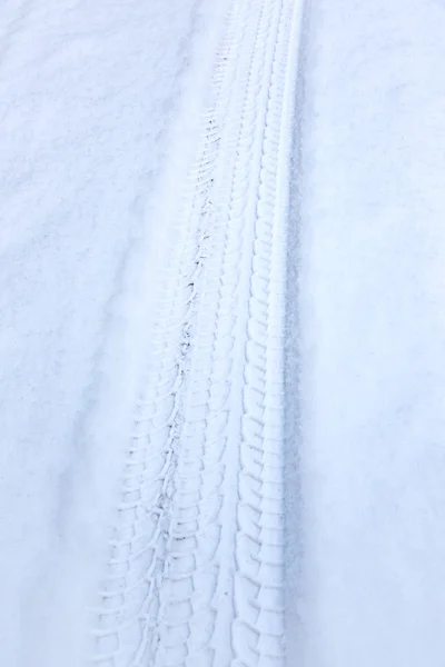 보호자 눈 겨울 — 스톡 사진