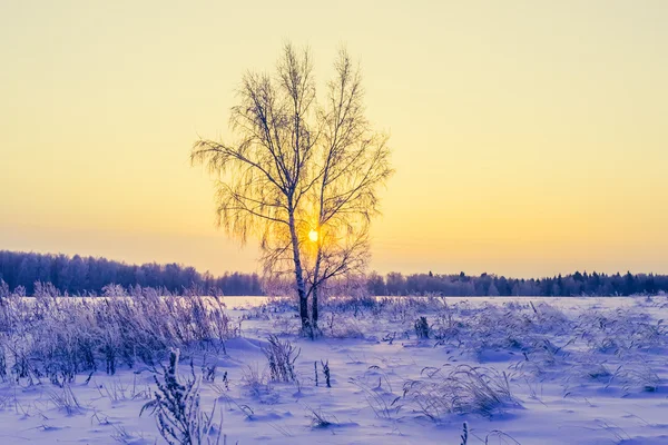 Not frozen pond in winter — Stock Photo, Image