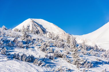 karla kaplı dağlar