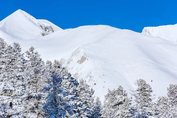 Schneebedeckte Berge — Stockfoto