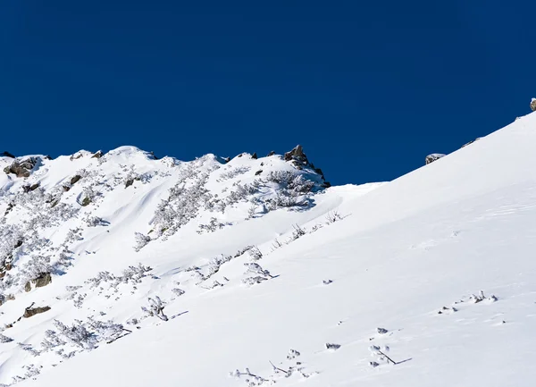 雪をかぶった山々 — ストック写真
