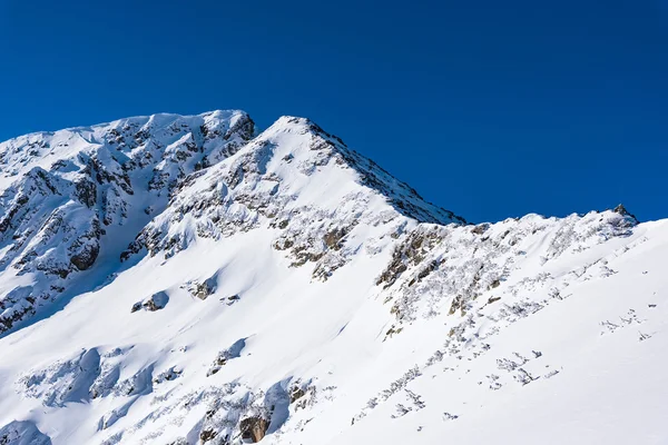 Snöklädda berg Stockbild