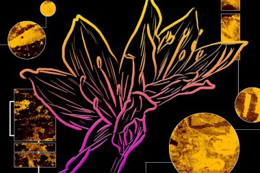 Soyut Yağlıboya Resim