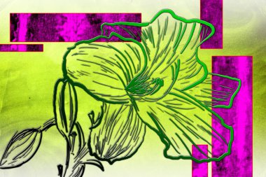 Soyut Yağlıboya Resim