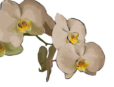 Çiçek Sanat illüstrasyon