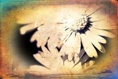 Vintage çiçek sanat illüstrasyon