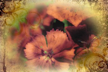 Vintage çiçek sanat illüstrasyon