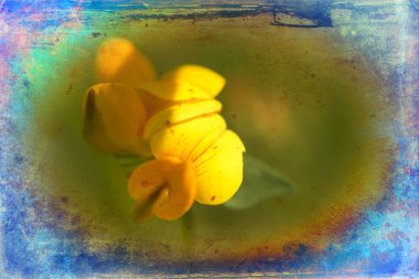 Vintage çiçek sanat illüstrasyon