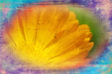 Vintage çiçek sanat illüstrasyon