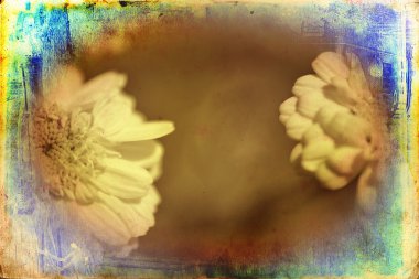 Vintage çiçek sanat illüstrasyon