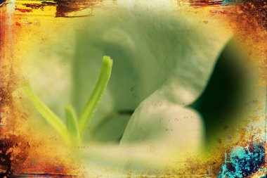 Vintage çiçek sanat illüstrasyon