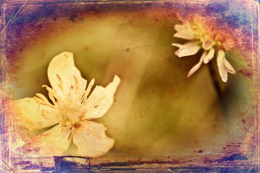 Vintage çiçek sanat illüstrasyon