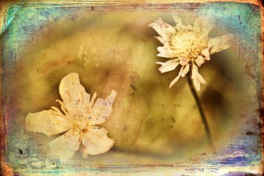 Vintage çiçek sanat illüstrasyon