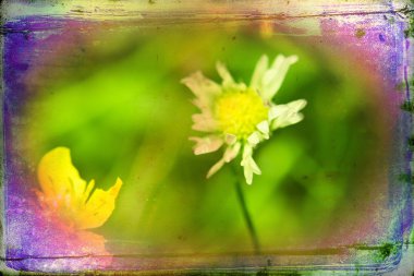 Vintage çiçek sanat illüstrasyon