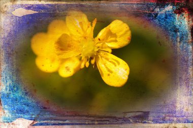 Vintage çiçek sanat illüstrasyon