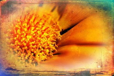 Vintage çiçek sanat illüstrasyon