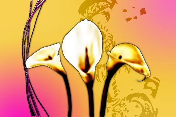 Abstractie bloem kunst illustratie — Stockfoto