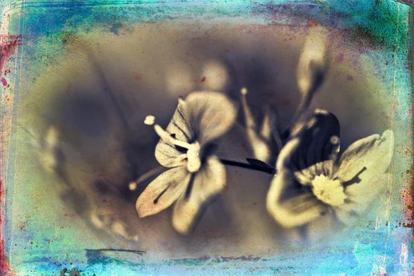 Illustration d'art floral vintage — Photo