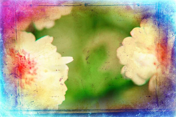 Ilustración de arte floral vintage —  Fotos de Stock