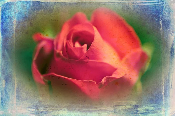 Illustration d'art floral vintage — Photo