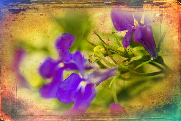 Εικονογράφηση art εκλεκτής ποιότητας λουλούδι — Φωτογραφία Αρχείου