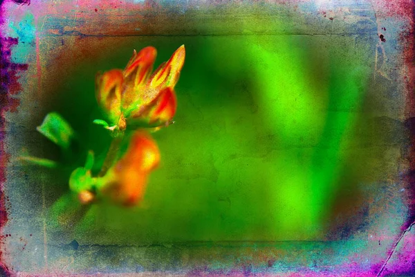 빈티지 꽃 예술 그림 — 스톡 사진