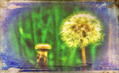 Vintage çiçek sanat illüstrasyon