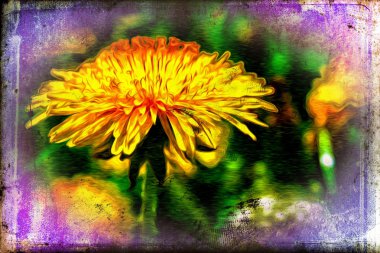 Vintage çiçek sanat illüstrasyon